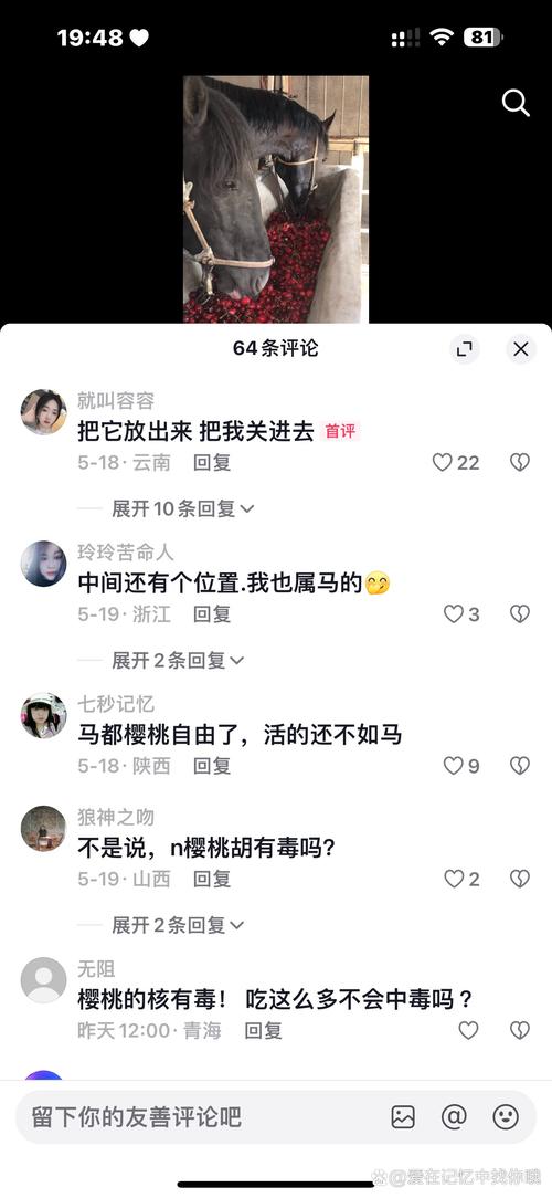 在线抖音刷评论