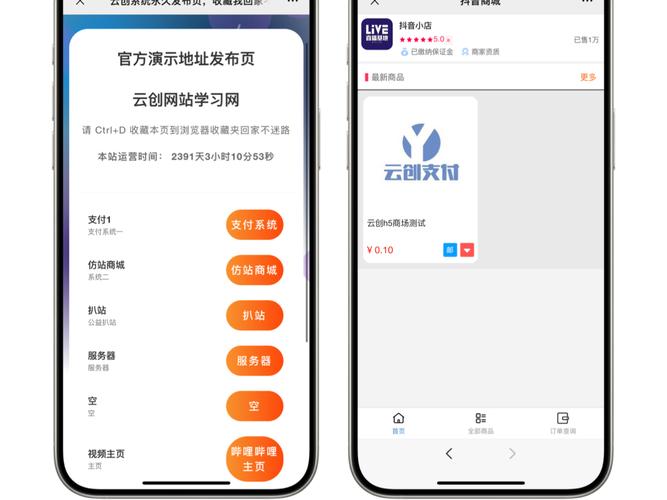 抖音粉丝业务下单网站
