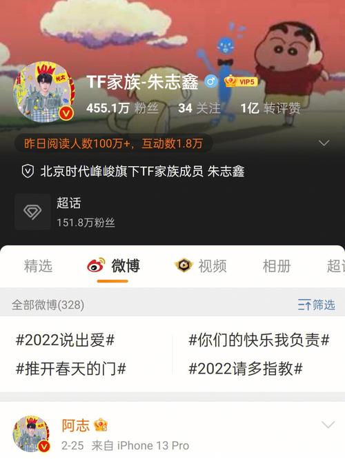 wb真人赞自助下单