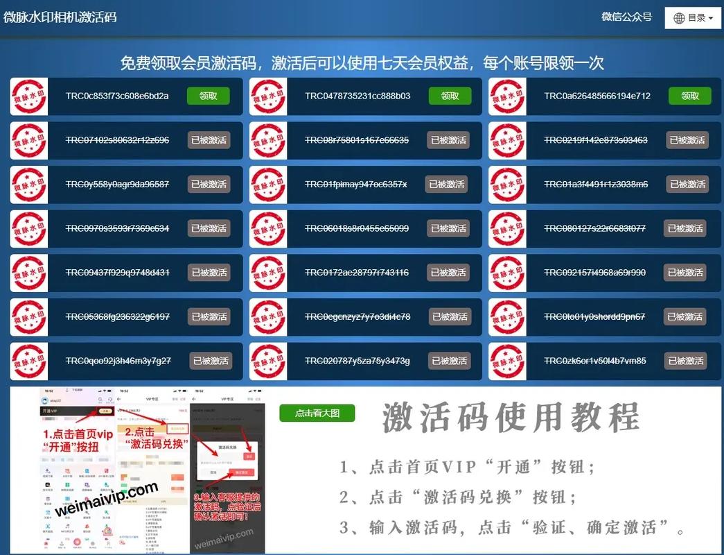 抖音粉丝业务激活码,抖音粉丝业务激活码:深度解析与探索之旅!