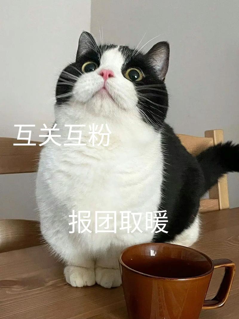 互刷抖音粉,互刷抖音粉丝：深度探讨与策略分享!