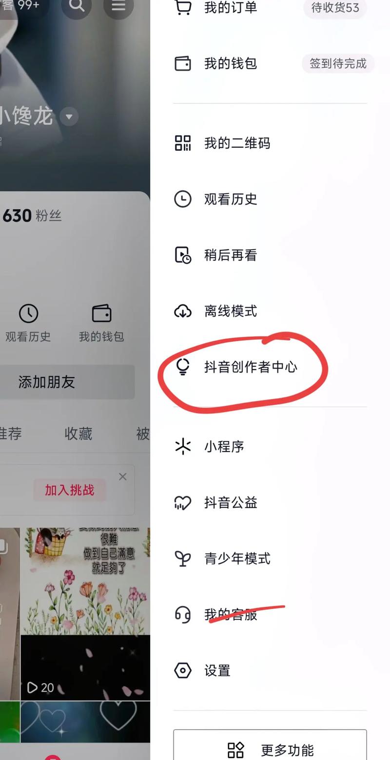 抖音有效粉丝在哪里查,抖音有效粉丝的查看与深度解析!