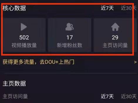 秒刷抖音播放量软件