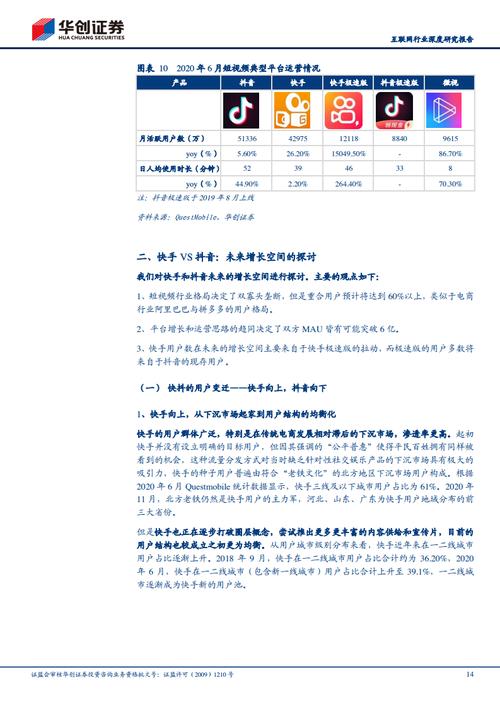 买抖音引流粉,关于抖音引流粉的购买：深度探讨与理性思考!