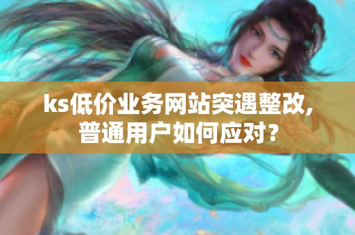 ks低价业务网站突遇整改,普通用户如何应对？