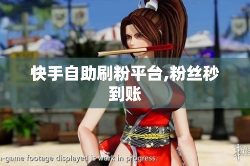 快手自助刷粉平台,粉丝秒到账