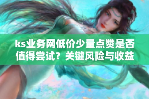 ks业务网低价少量点赞是否值得尝试？关键风险与收益分析