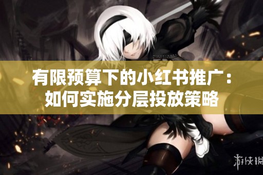 有限预算下的小红书推广:如何实施分层投放策略 有限预算下的小红书推广:如何实施分层投放策略