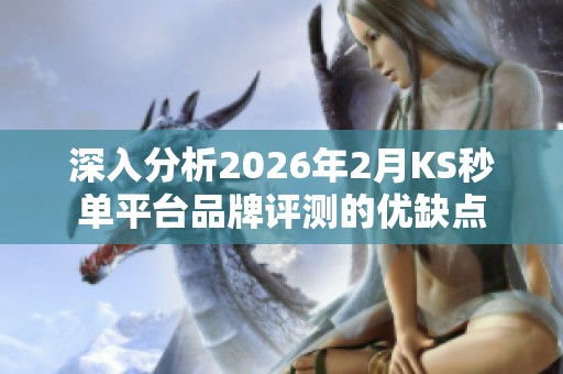 深入分析2026年2月KS秒单平台品牌评测的优缺点