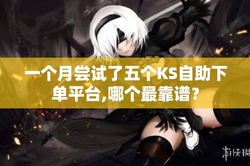 一个月尝试了五个KS自助下单平台,哪个最靠谱? 一个月尝试了五个KS自助下单平台,哪个最靠谱?