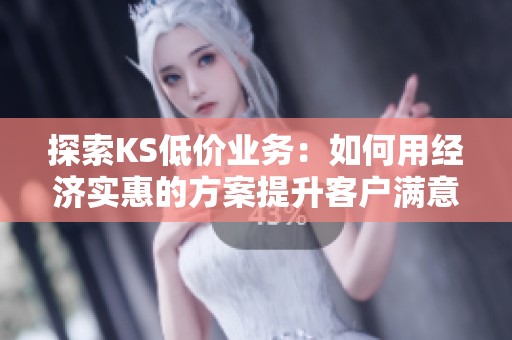 探索KS低价业务:如何用经济实惠的方案提升客户满意度 探索KS低价业务:如何用经济实惠的方案提升客户满意度