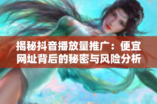揭秘抖音播放量推广:便宜网址背后的秘密与风险分析 揭秘抖音播放量推广:便宜网址背后的秘密与风险分析