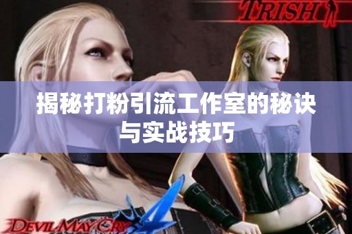 揭秘打粉引流工作室的秘诀与实战技巧 揭秘打粉引流工作室的秘诀与实战技巧