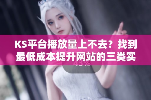 KS平台播放量上不去?找到最低成本提升网站的三类实用方法 KS平台播放量上不去?找到最低成本提升网站的三类实用方法