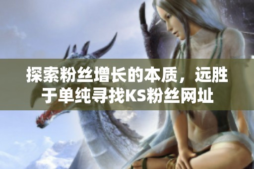 探索粉丝增长的本质,远胜于单纯寻找KS粉丝网址 探索粉丝增长的本质,远胜于单纯寻找KS粉丝网址