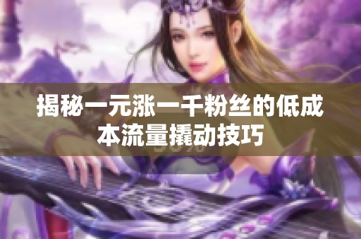 揭秘一元涨一千粉丝的低成本流量撬动技巧 揭秘一元涨一千粉丝的低成本流量撬动技巧