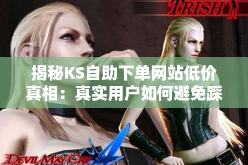 揭秘KS自助下单网站低价真相:真实用户如何避免踩坑? 揭秘KS自助下单网站低价真相:真实用户如何避免踩坑?