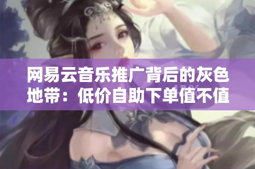 网易云音乐推广背后的灰色地带：低价自助下单值不值得碰？