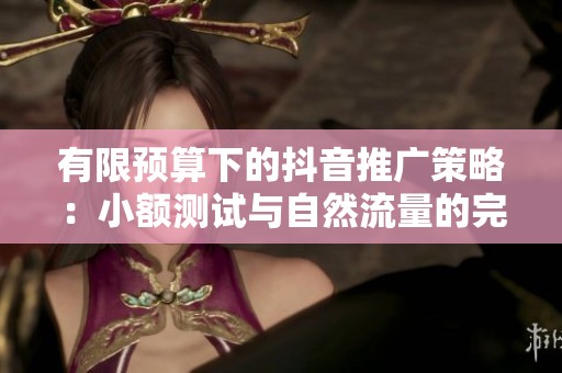 有限预算下的<a href=