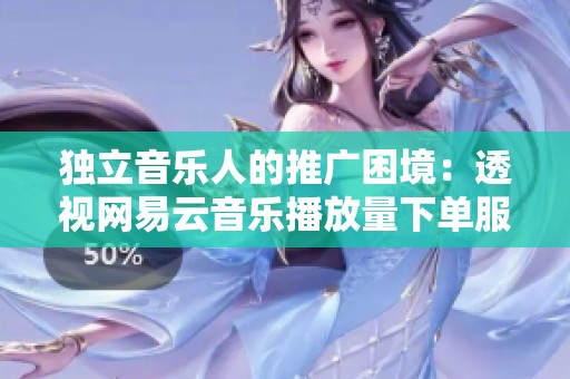 独立音乐人的推广困境：透视网易云音乐播放量下单服务的现实与挑战