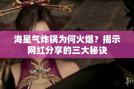 海星气炸锅为何火爆？揭示网红分享的三大秘诀