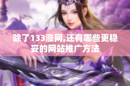 除了133涨网,还有哪些更稳妥的网站推广方法 除了133涨网,还有哪些更稳妥的网站推广方法