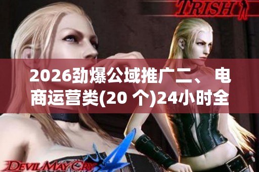 2026劲爆公域推广二、 电商运营类(20 个)24小时全国售后服务客服