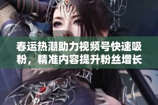 春运热潮助力视频号快速吸粉,精准内容提升粉丝增长的完美攻略 春运热潮助力视频号快速吸粉,精准内容提升粉丝增长的完美攻略